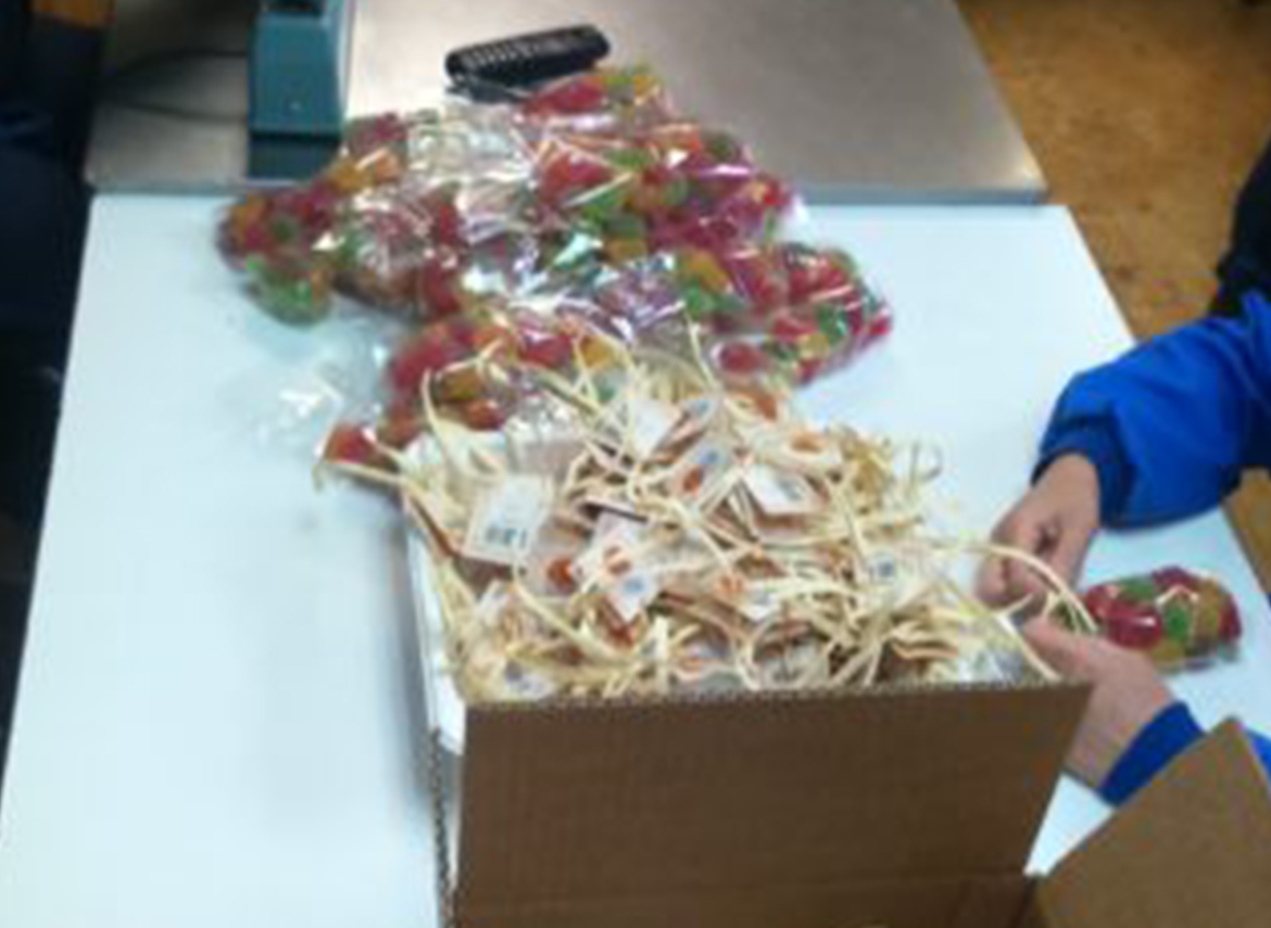 Aestibulum ipsum a ornare lectus